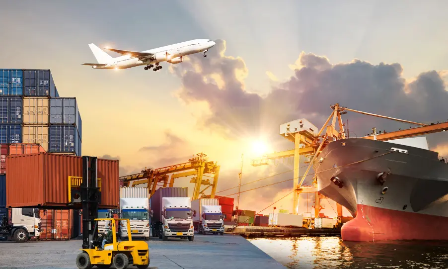 Custom Software Development for Logistics